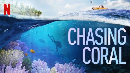 chasing coral